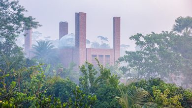 Harmony of Brick & Light